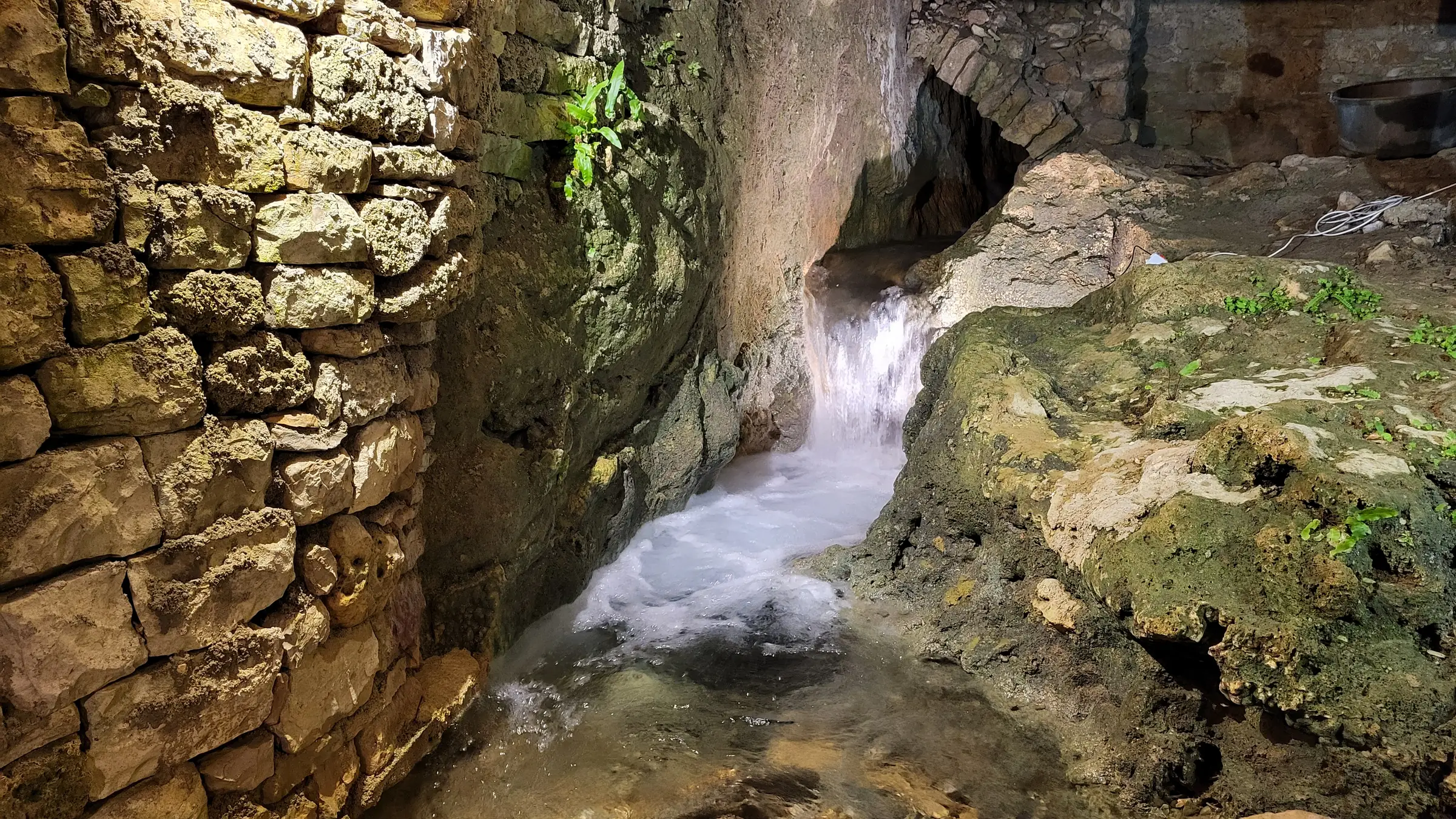 LA SOURCE DU MOULIN DE CENARET