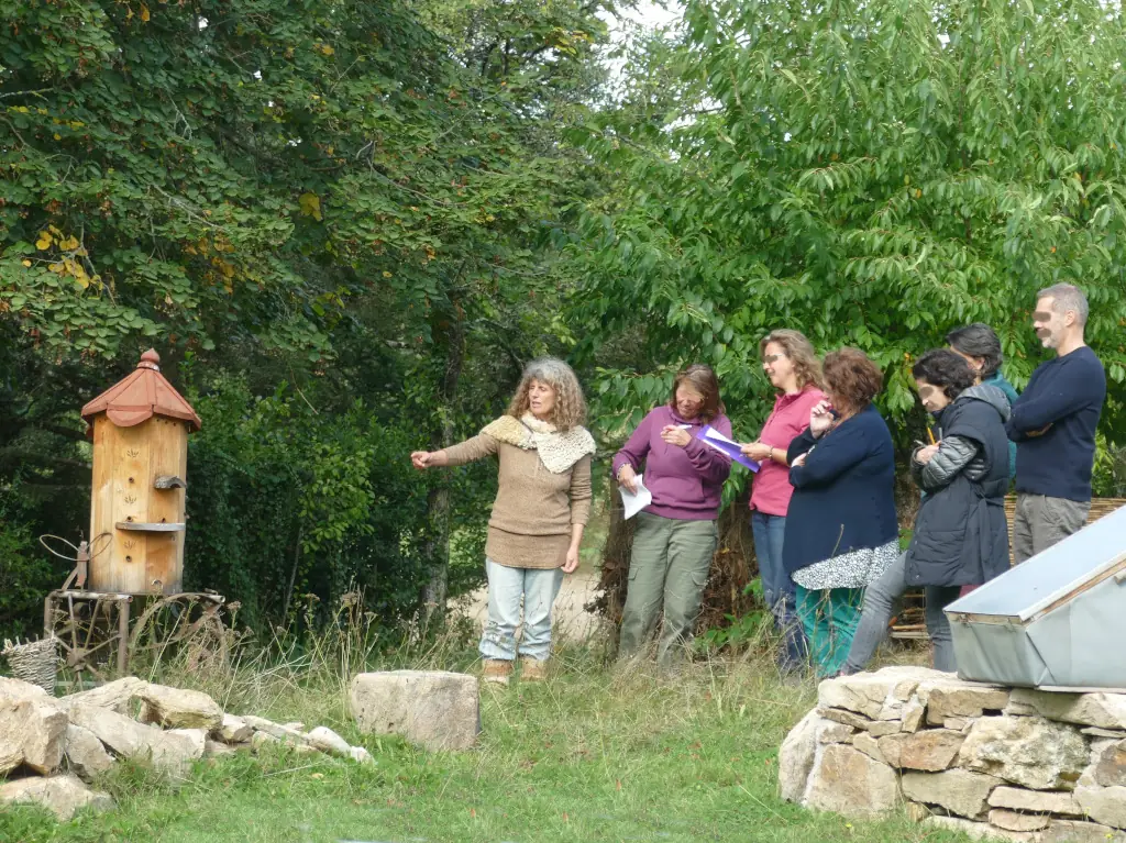 Animations abeilles