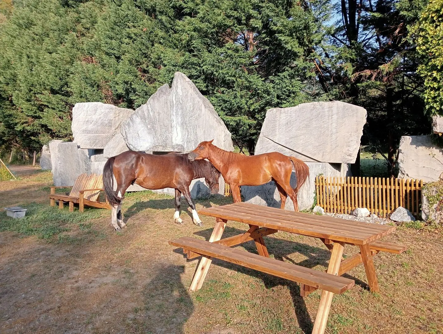 La fosse d'Anglas