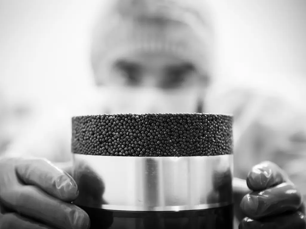 Les secrets du caviar : visite d'une esturgeonnière