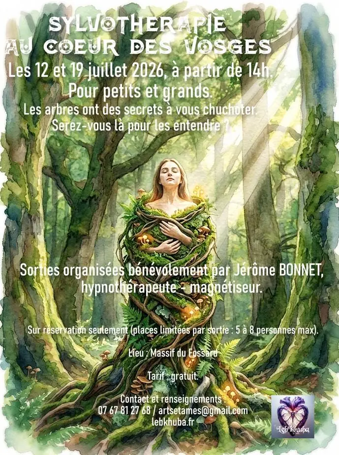 Sortie sylvothérapie au cœur des Vosges