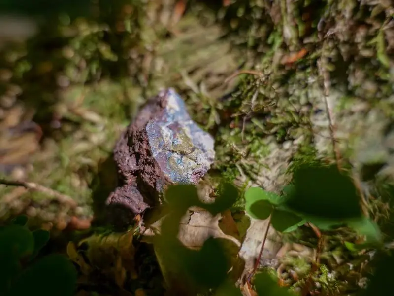 Sentiers Plaisir : Framont-Grandfontaine, la ruée vers le fer