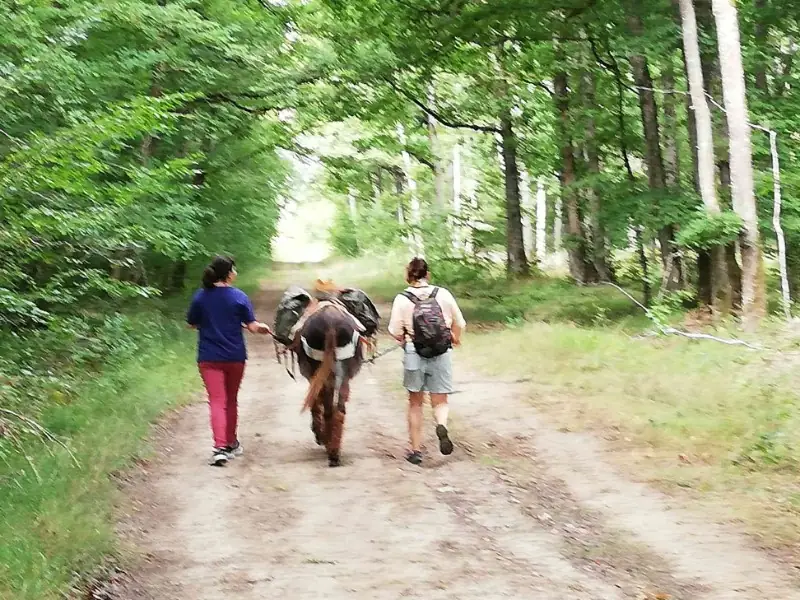 Randonnée accompagnée, 3 jours avec un âne, SPECIALE FAMILLE avec enfant