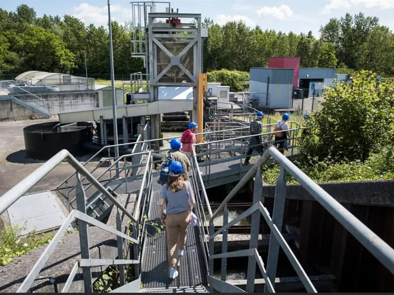 Profiter pleinement de la passe à poissons en soirée