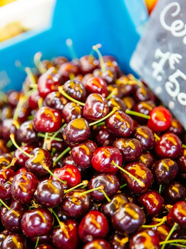 Marché de Captieux le lundi
