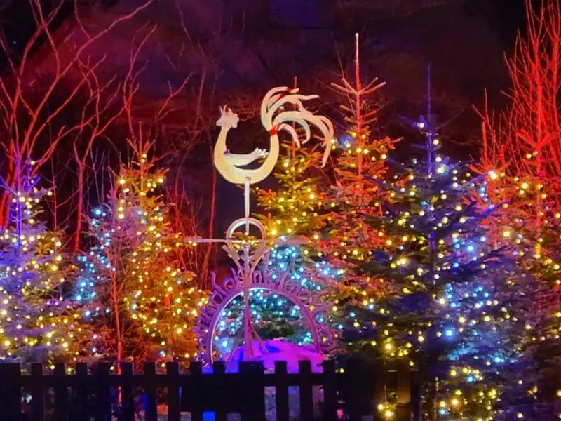 Lancement des illuminations de Noël