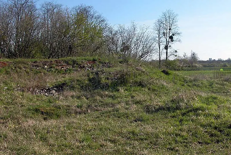Fort de Buzon