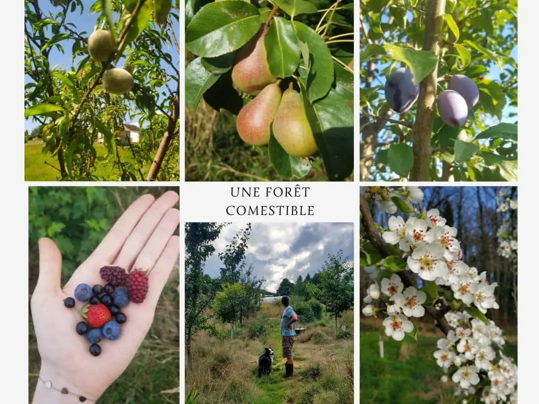 Stage Autonomie et Permaculture | Semaine en immersion
