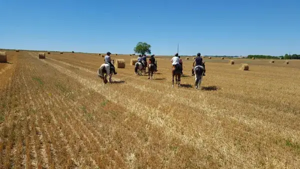 Centre Équestre de Briounas - randonnées et stages