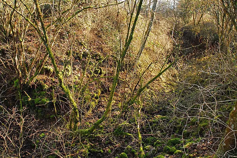 Fort de Brevoines