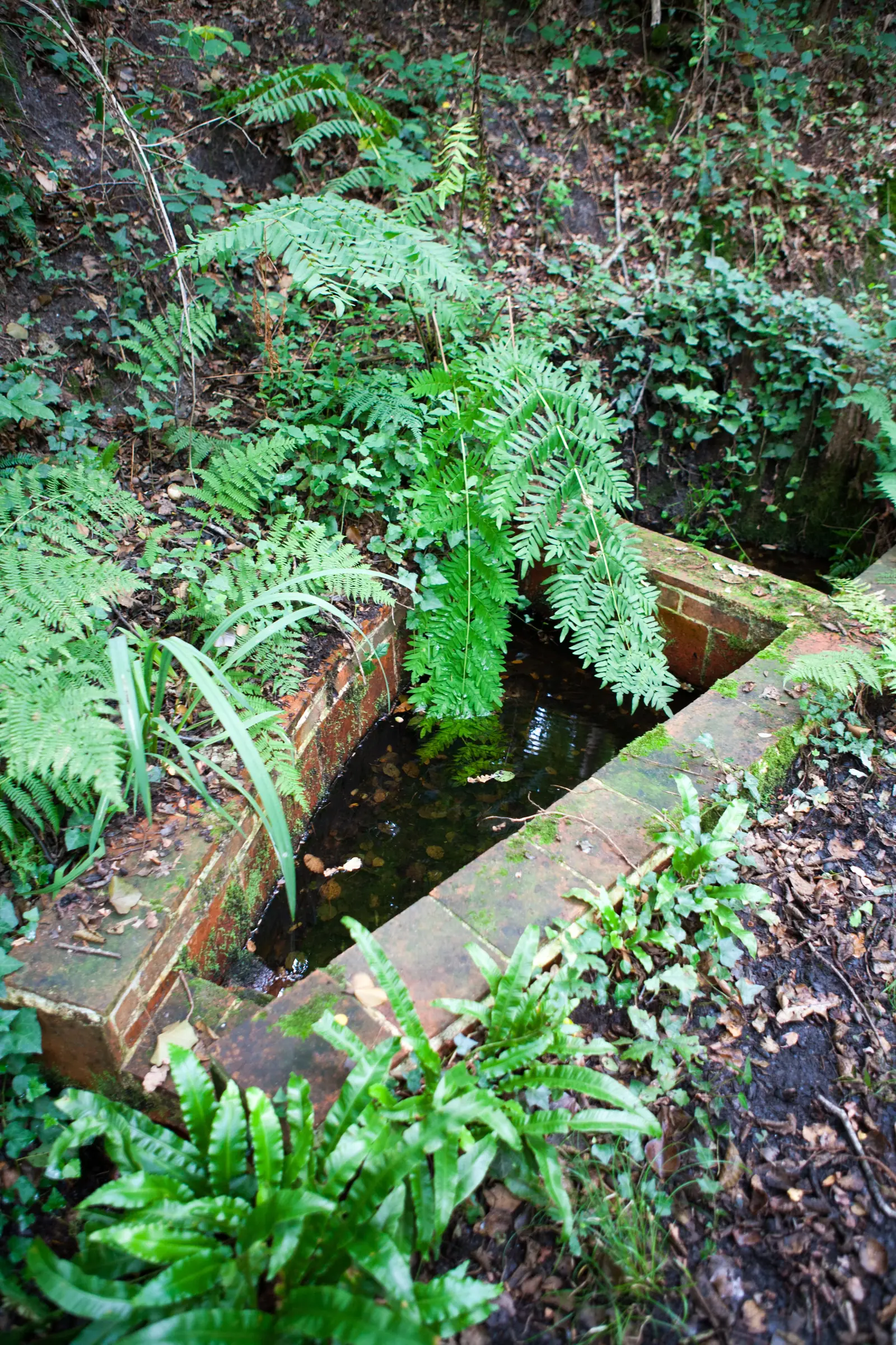 Fontaine Sainte-Quitterie