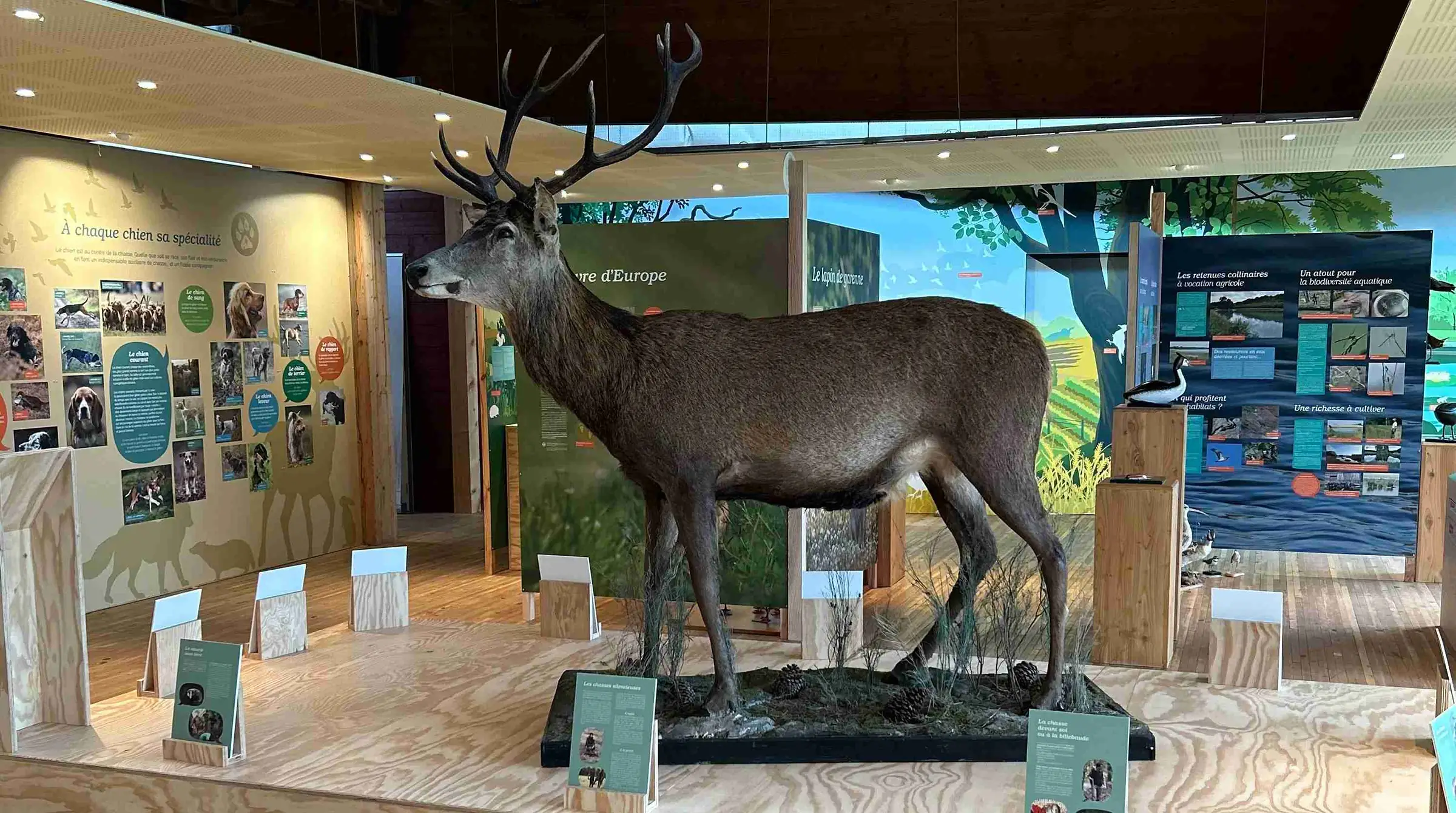 Centre Départemental de la Nature et des Pratiques Cynégétiques