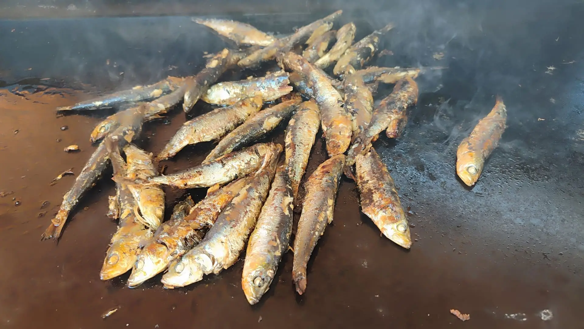 Sardinades et Compagnie