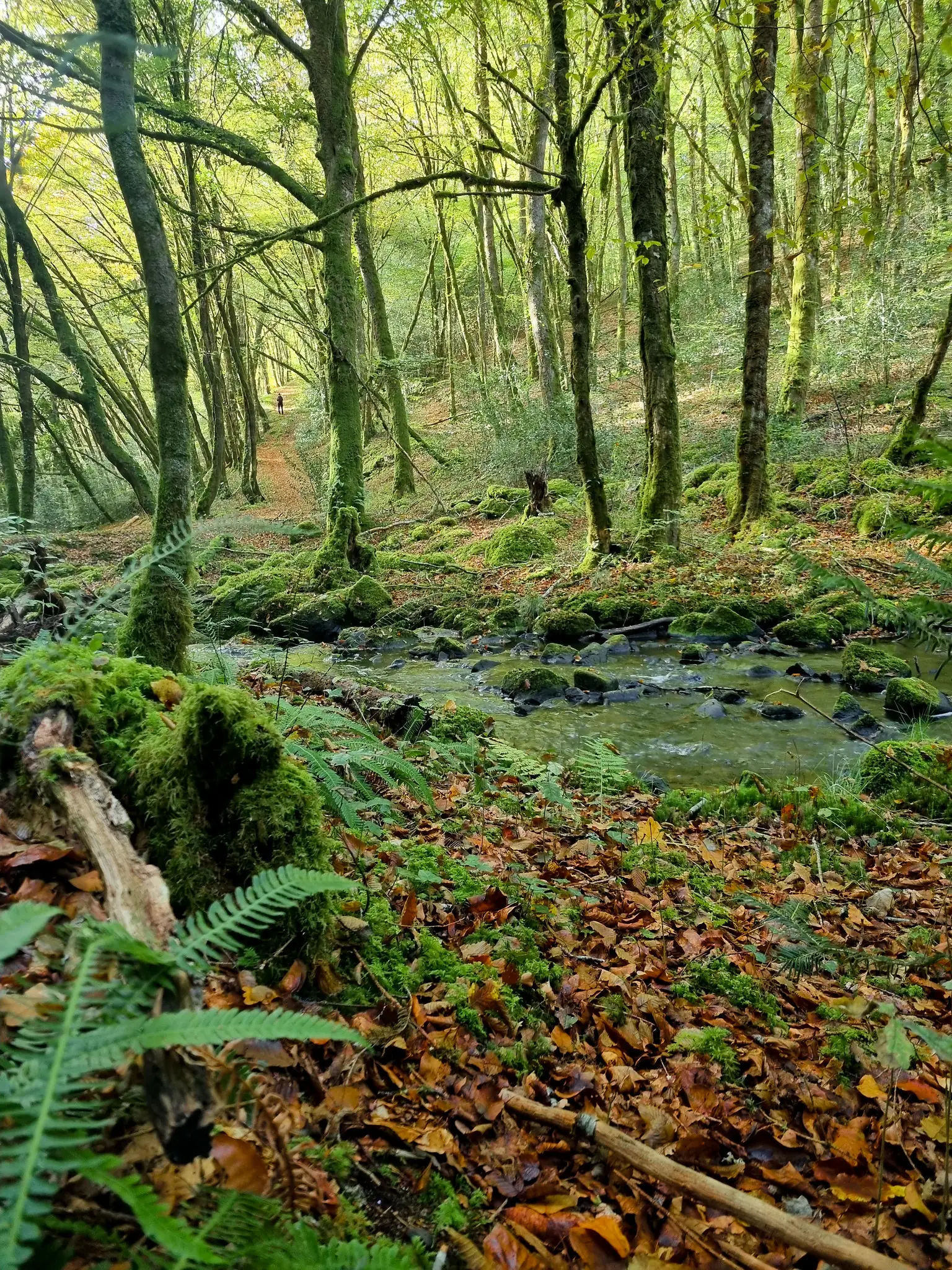 La fontaine de Saint Eutrope