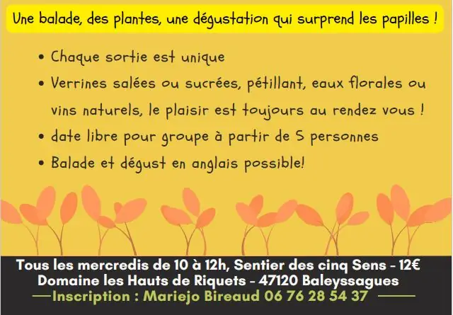 Le sentier des 5 sens au Domaine Les Hauts de Riquets balade gourmande