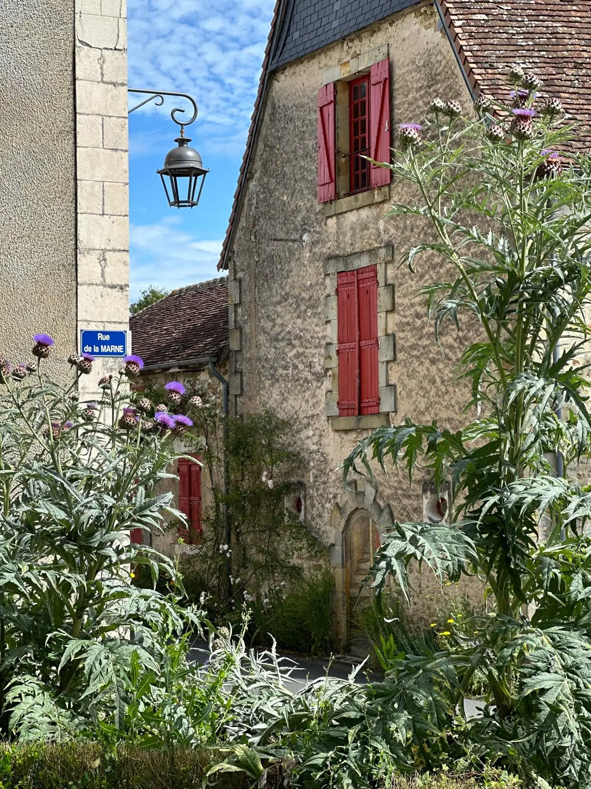 Découverte de la cité médiévale