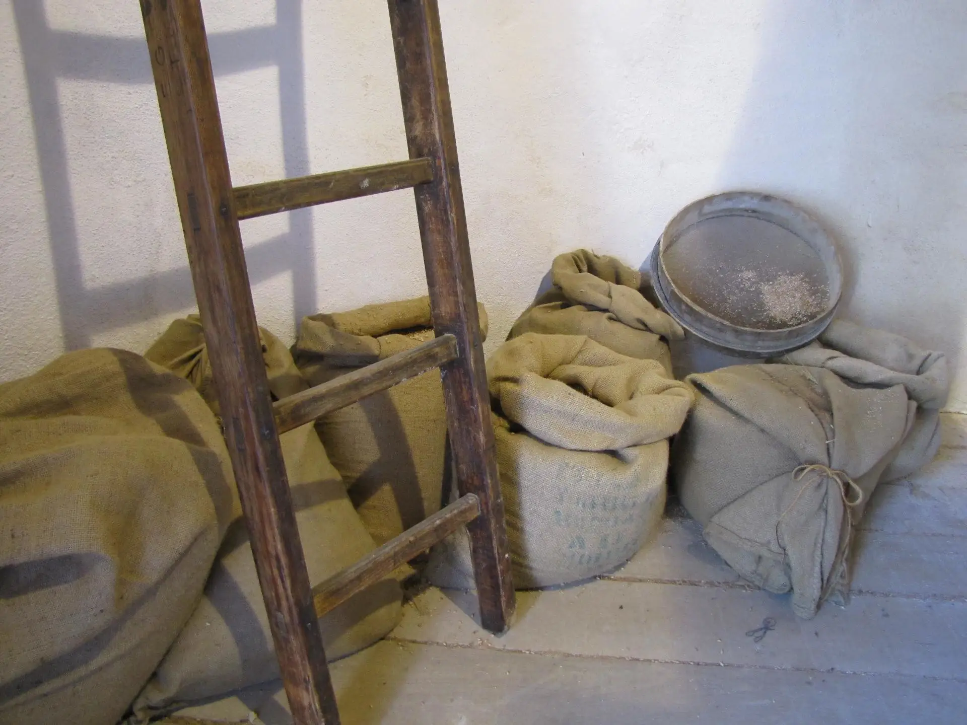 Visite guidée du moulin "Louis Ricard"