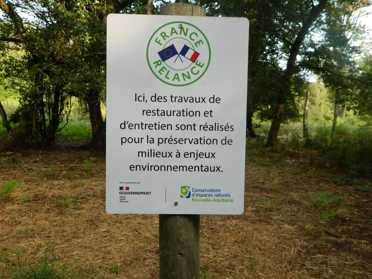 Découverte d'un écopaturage