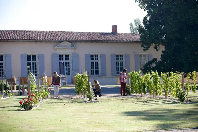 Ateliers de cuisine et dîner à la table du vigneron