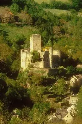 CHATEAU DE BELCASTEL (groupes)