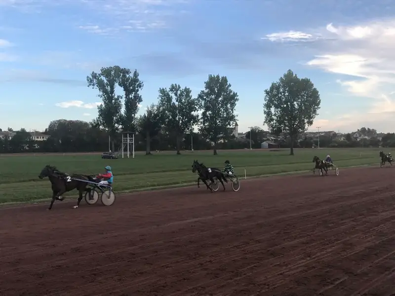 Courses hippiques en nocturne