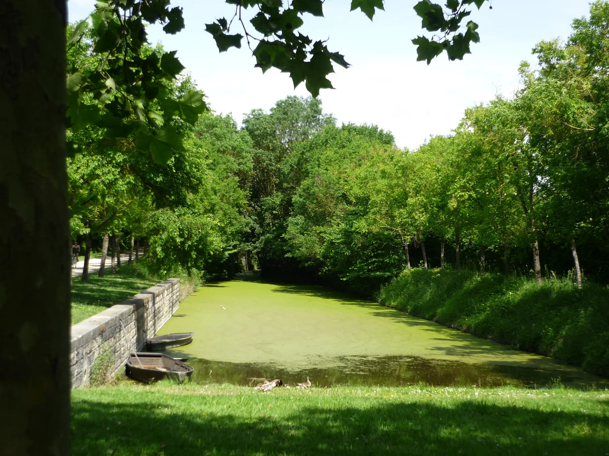 Saint-Georges-de-Rex et son marais préservé