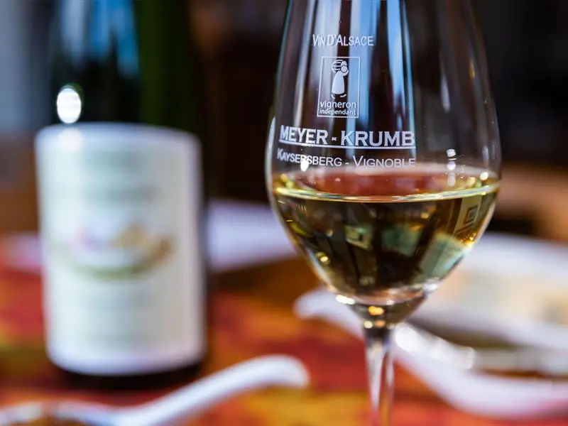 Découverte de la vigne et du vin