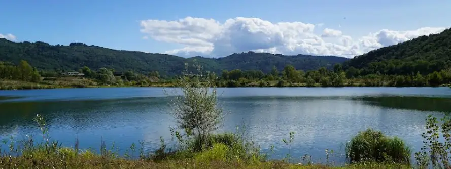 La nature en hiver, à la réserve départementale de biodiversité d'Argentat