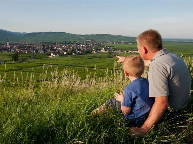 Visite guidée : quand la vigne travaille avec la nature, la biodynamie expliquée