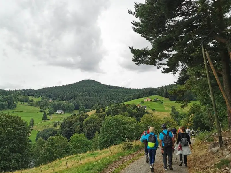 Marche gourmande des Basses Huttes