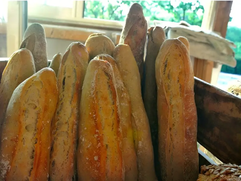 Boulangerie LeS COPains