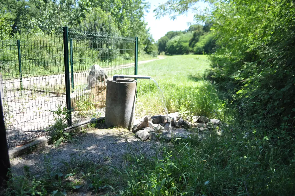 La source du Buccuron