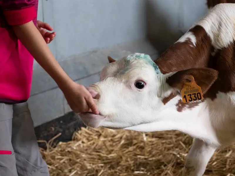 Ferme Daul-Boime : de l'alimentation animale à la fertilisation des sols