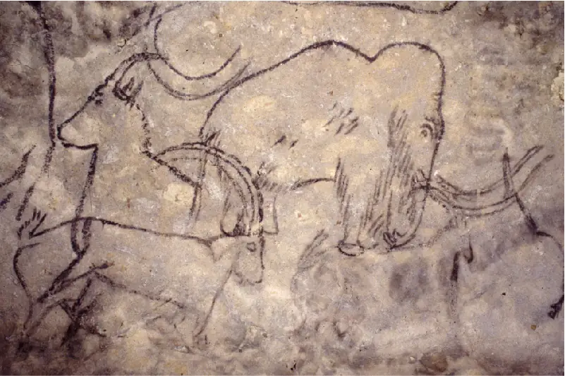 Grotte de Rouffignac