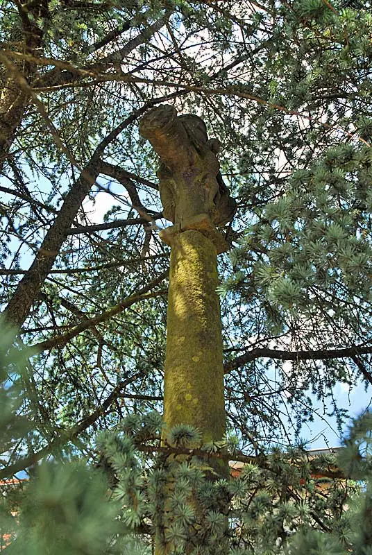 Croix XVIe siècle de Lecey