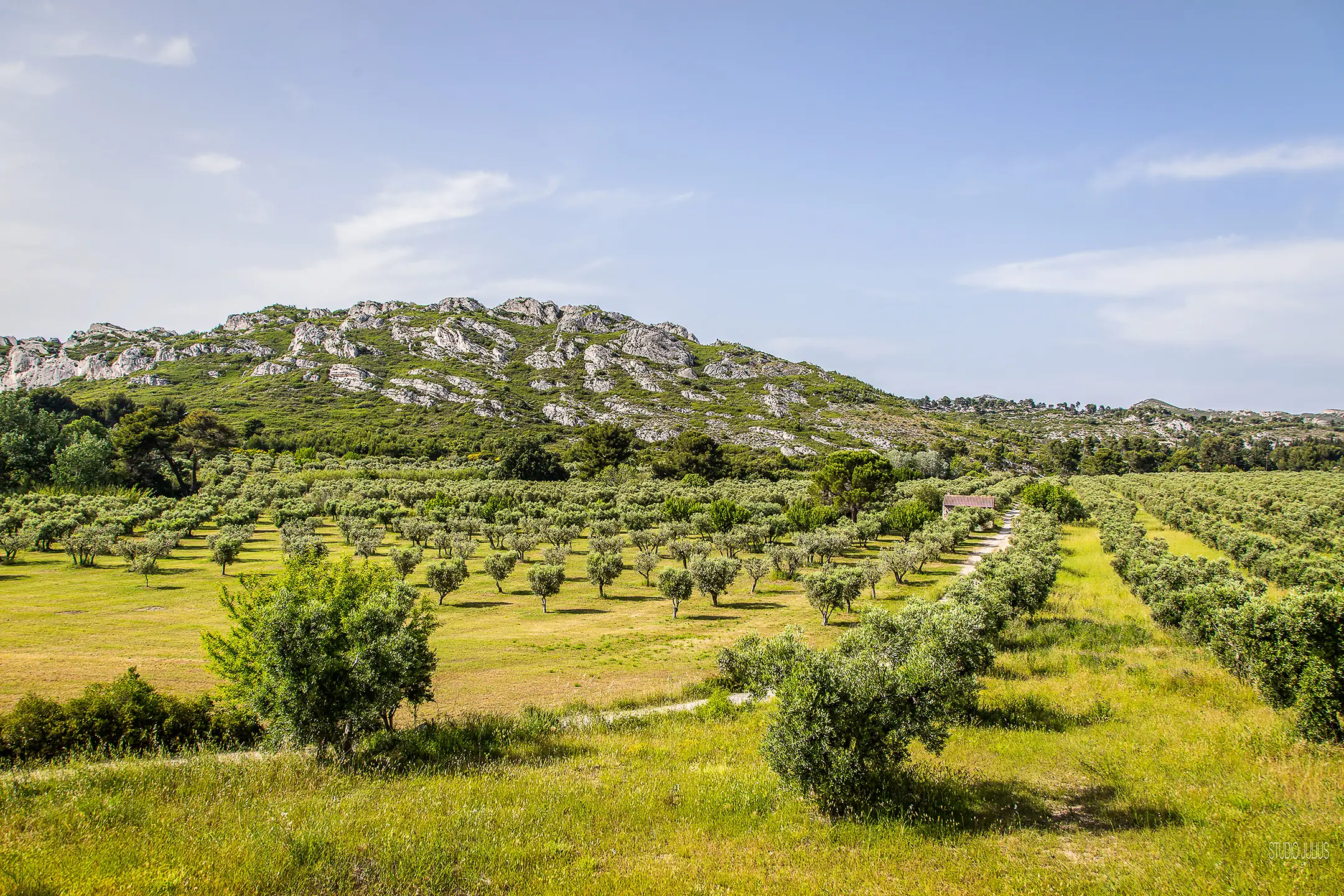 Oppidum des Caisses de Jean-Jean