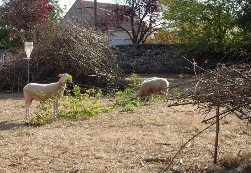 La Bergerie du Logis