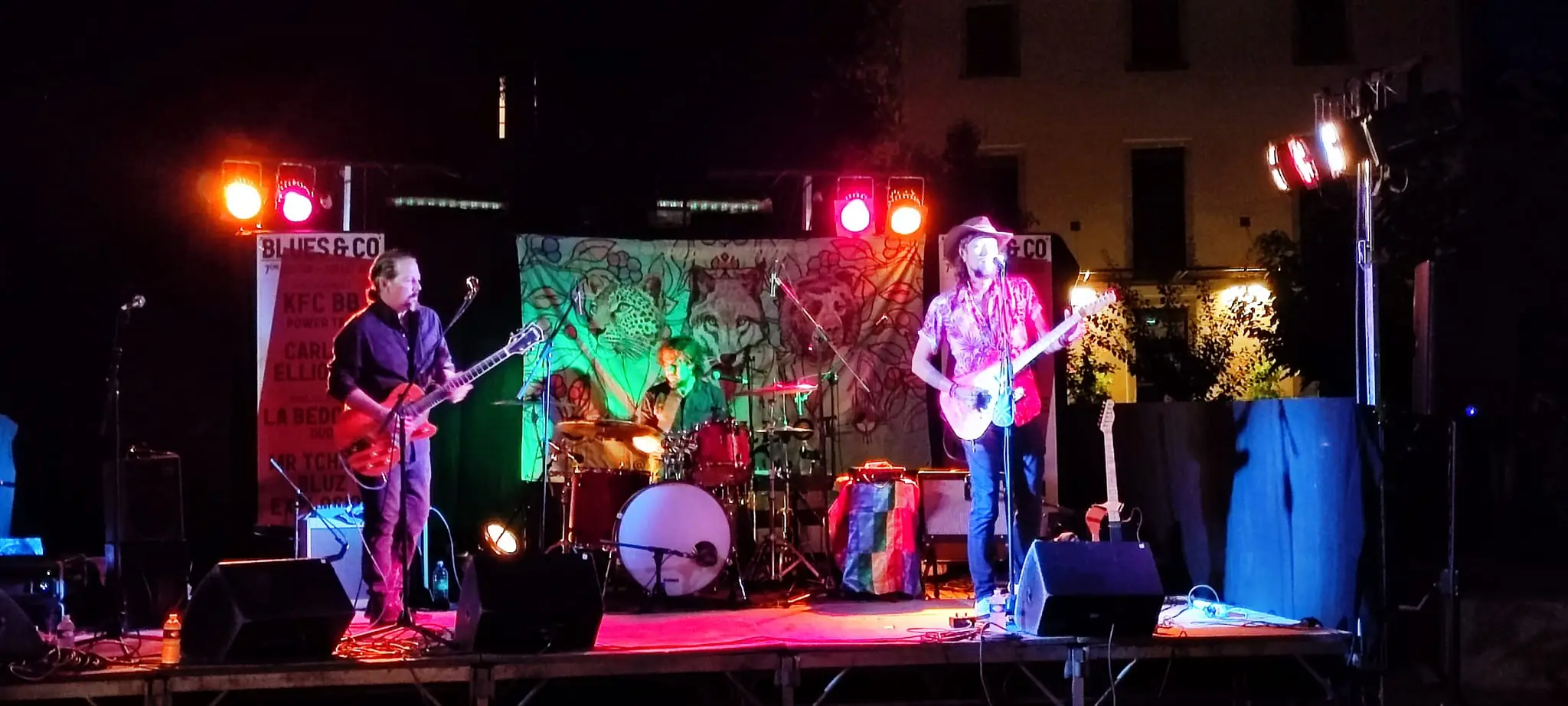 FESTIVAL BLUES AND CO