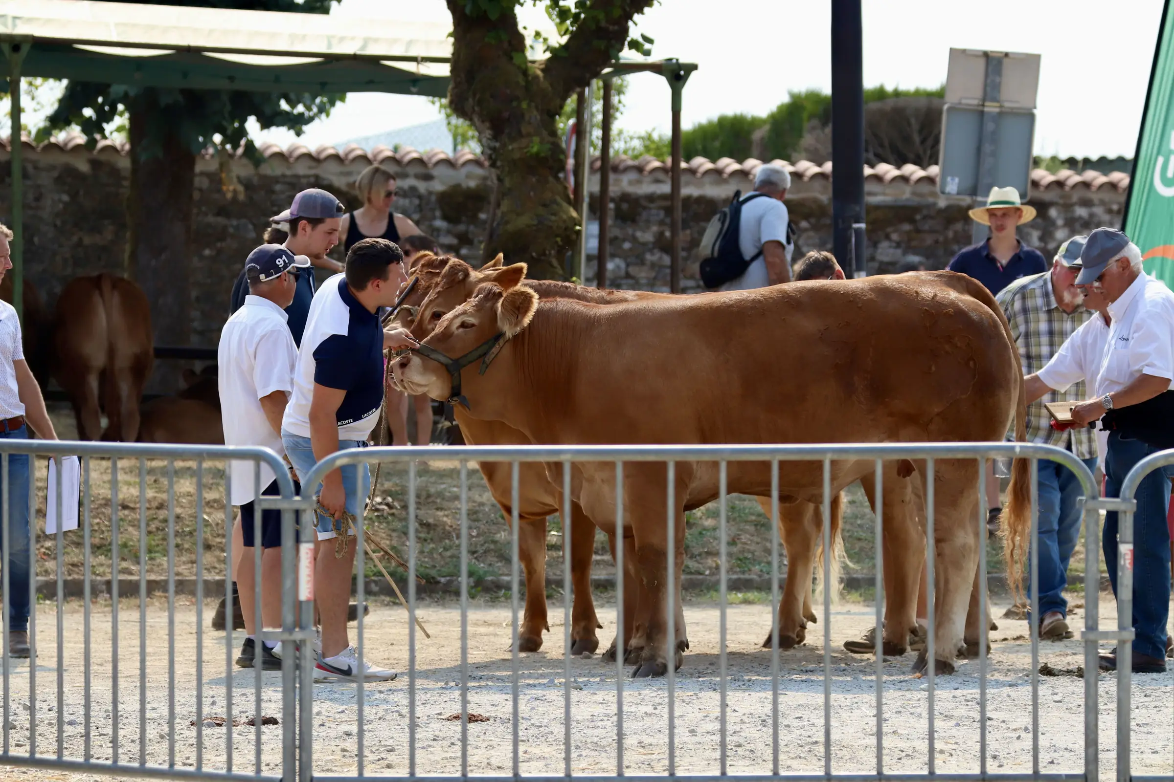 42e édition des Journées de la Viande Limousine et des savoir-faire locaux