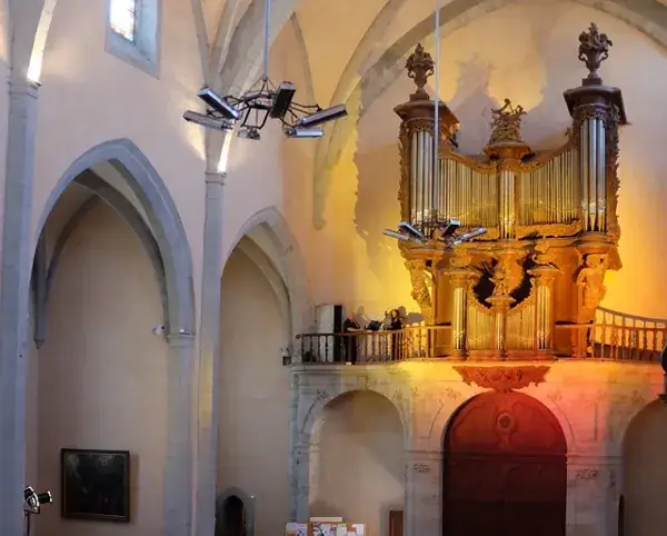 Grand Concert : Orgues historiques de Micot