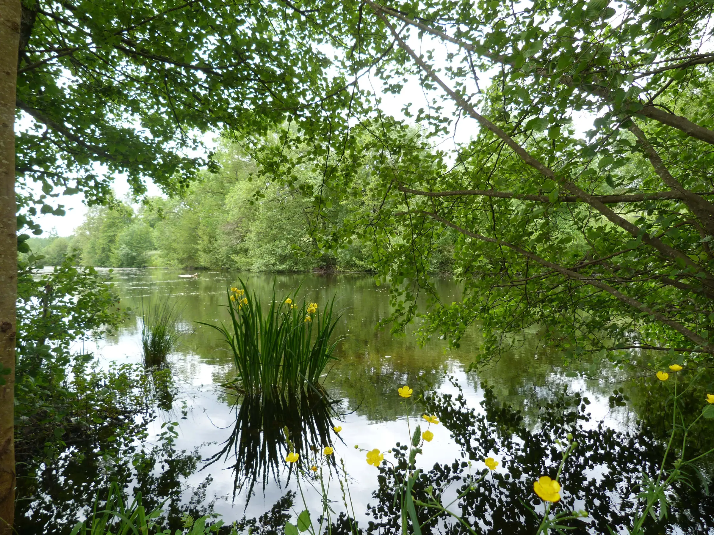 Au fil de l’Eau