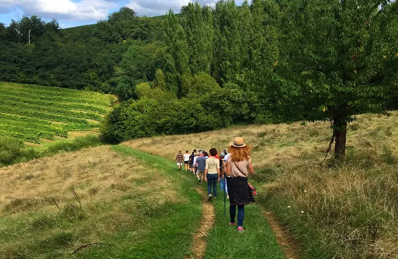 Balade vigneronne : Domaine Larroudé