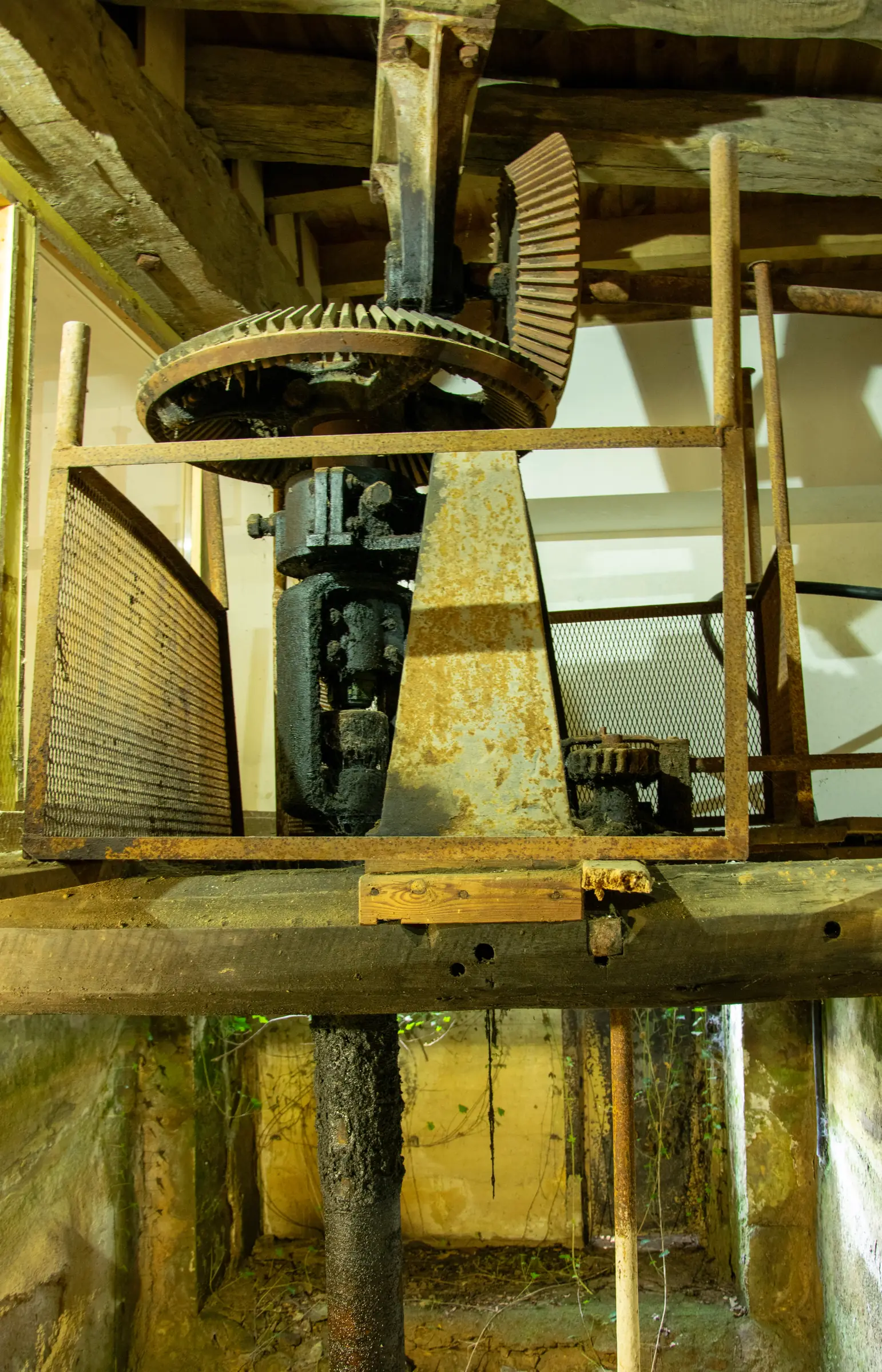 Visite du moulin