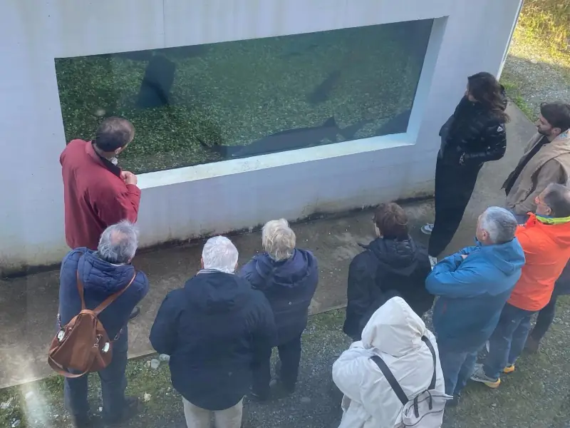Visite privilège de l'Esturgeonnière.