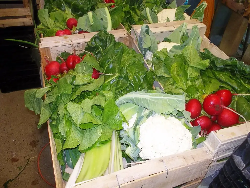 Marché vente à la ferme