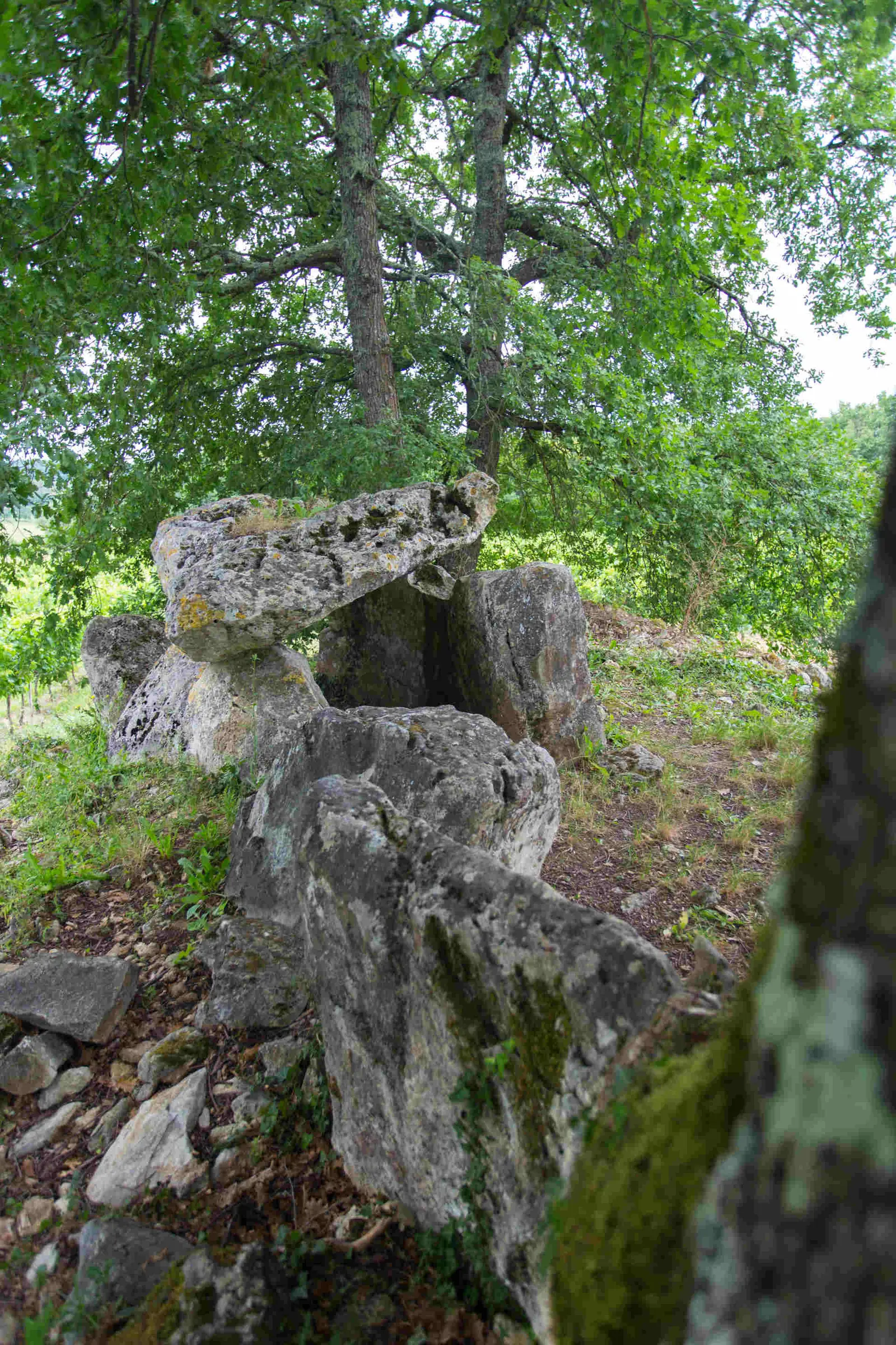 Dolmen de Curton