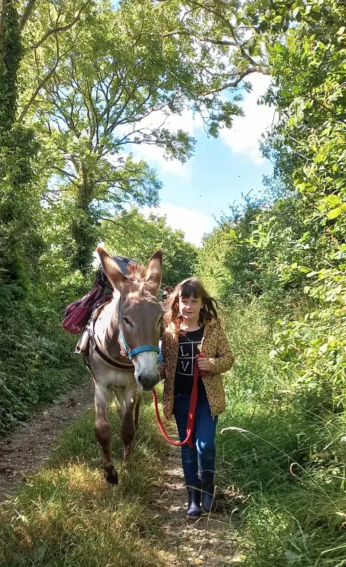 Découverte du bocage avec un âne du Cotentin