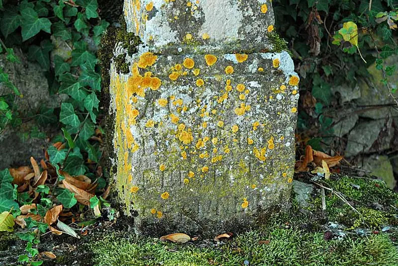 Croix de Poinsenot (2)