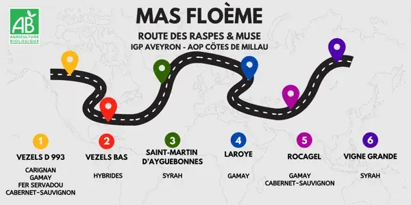 Domaine Mas Floème