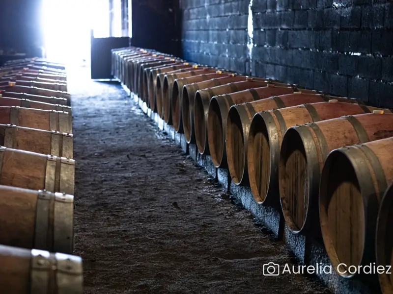 Visite-dégustation : Visite du domaine aux origines de l'appellation